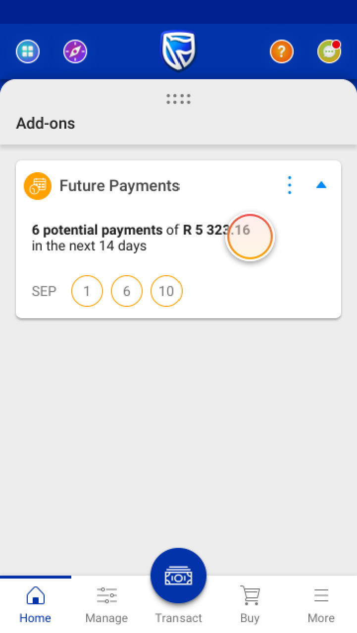 addOns_futurePayments.png