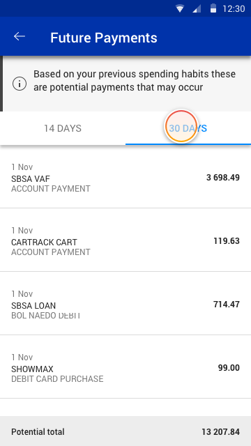 futurePayments_30days.png