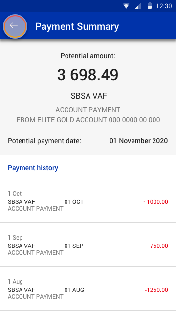 futurePayments_paymentSummary.png