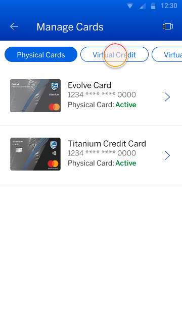 manageCards_virtualCredit.png