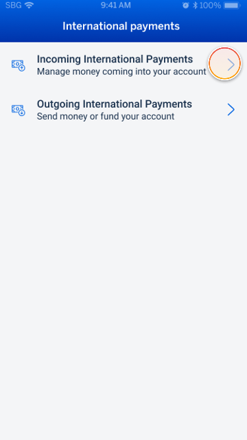 internationalPayment_paymentOptions.png
