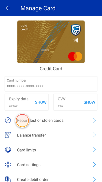 cardDtls_lostStolenCardPrompt.png