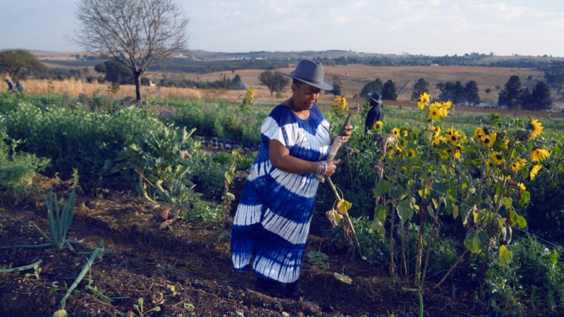 Galary Image 3 -  AND09345