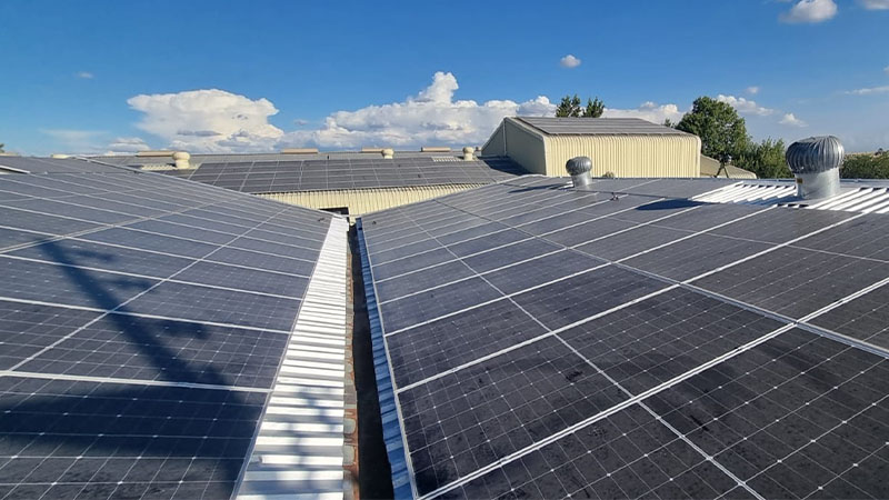 Edila Twaalf image 3