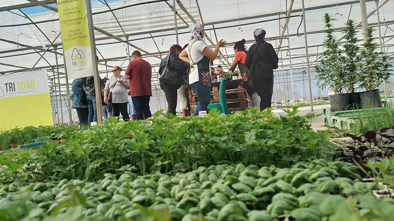 Gallery Image 2 - nursery